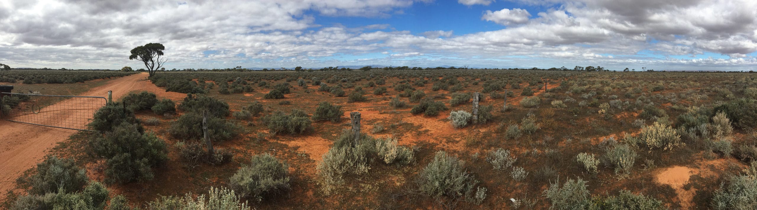 The project is to be located approximately 30 kms north of the town of Port Augusta on a vast pastoral station.